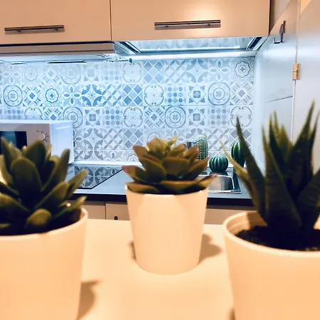 Сasa de vacaciones Franz